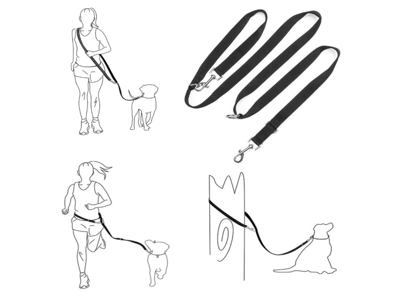 6ft Dog training lead