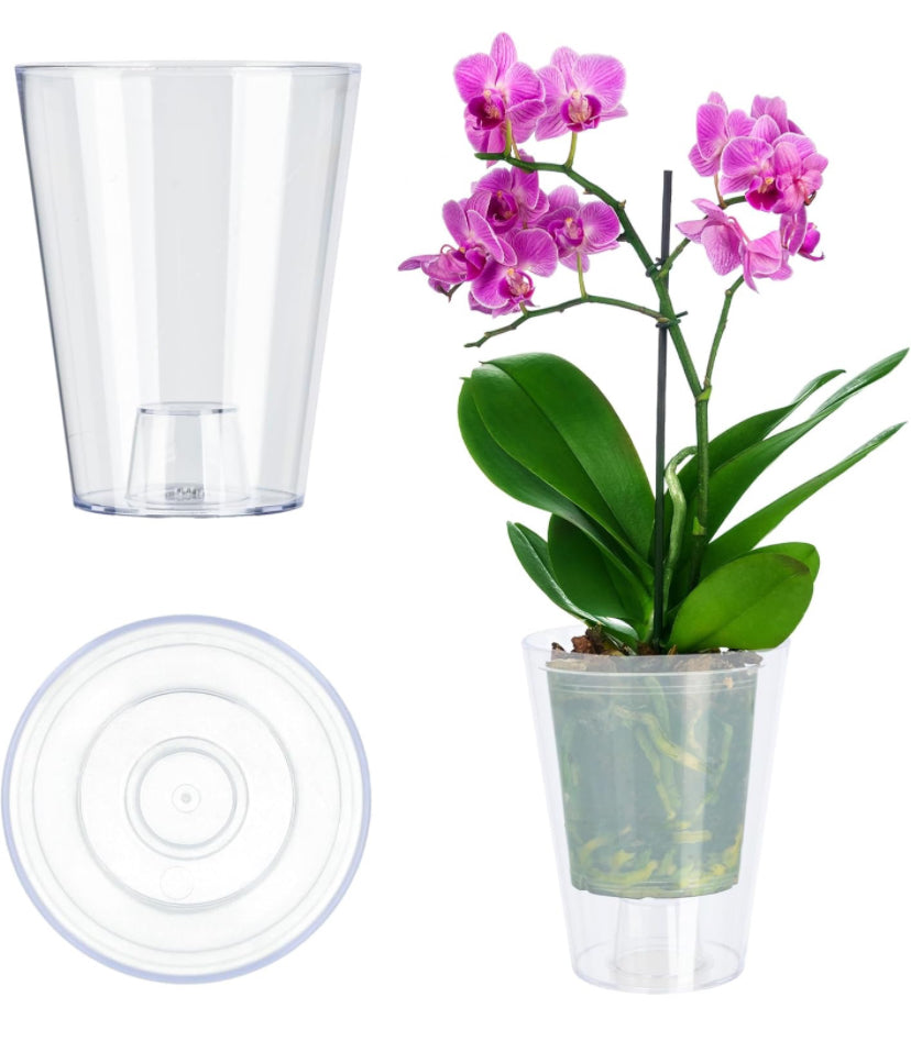 17 cm 2.6L Orchid Vase -Perspex