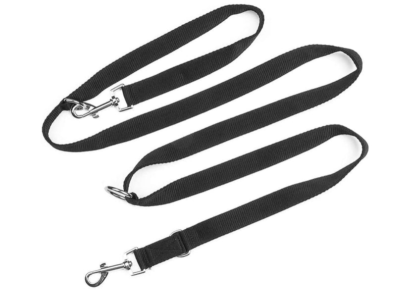 6ft Dog training lead